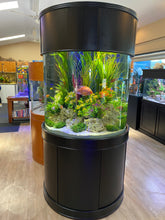 Load image into Gallery viewer, WARRANTY INCLUDED! 180 gallon GLASS cylinder round aquarium fish tank set

