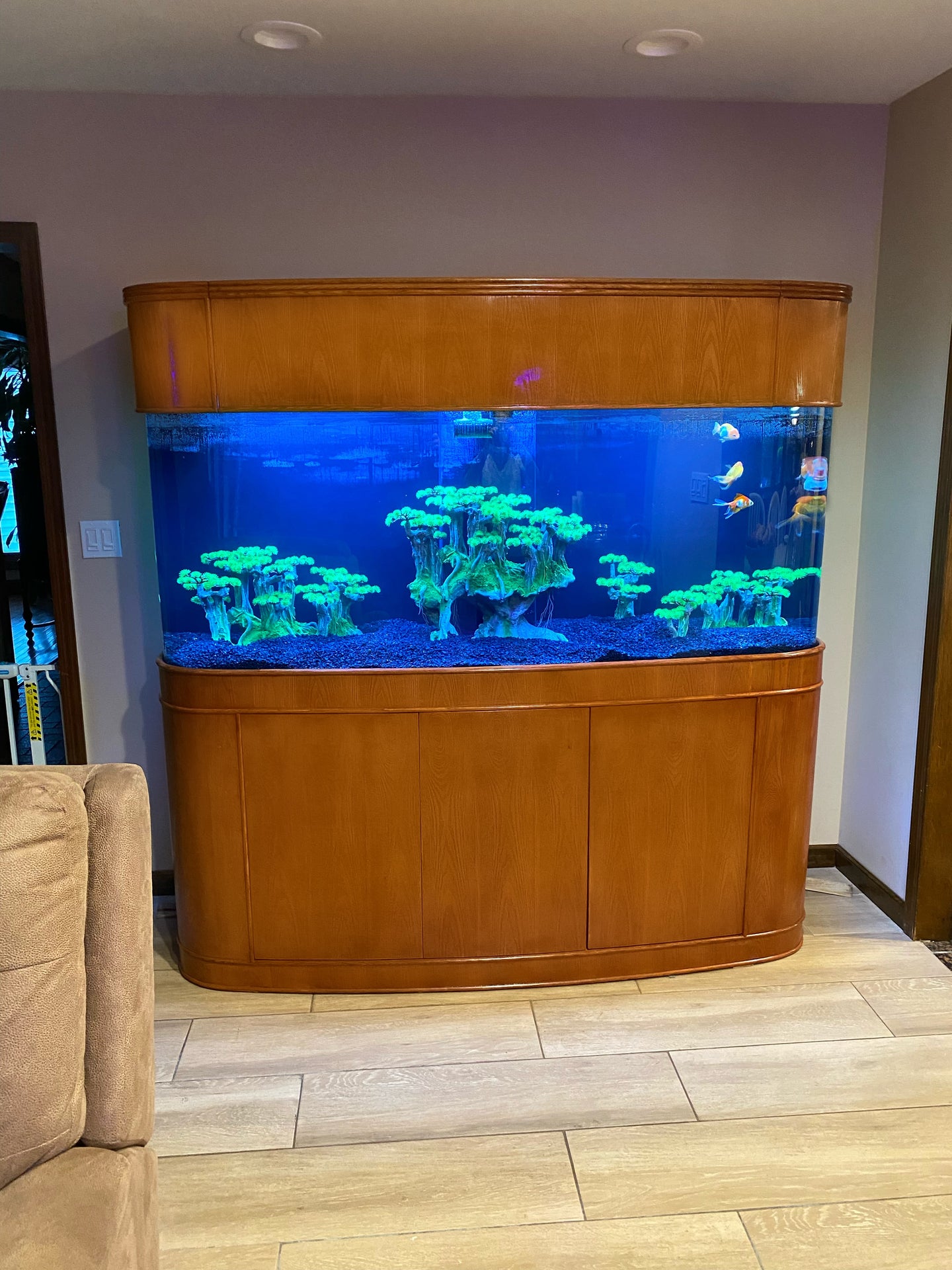 WARRANTY INCLUDED! 300 gallon GLASS bow front aquarium fish tank set