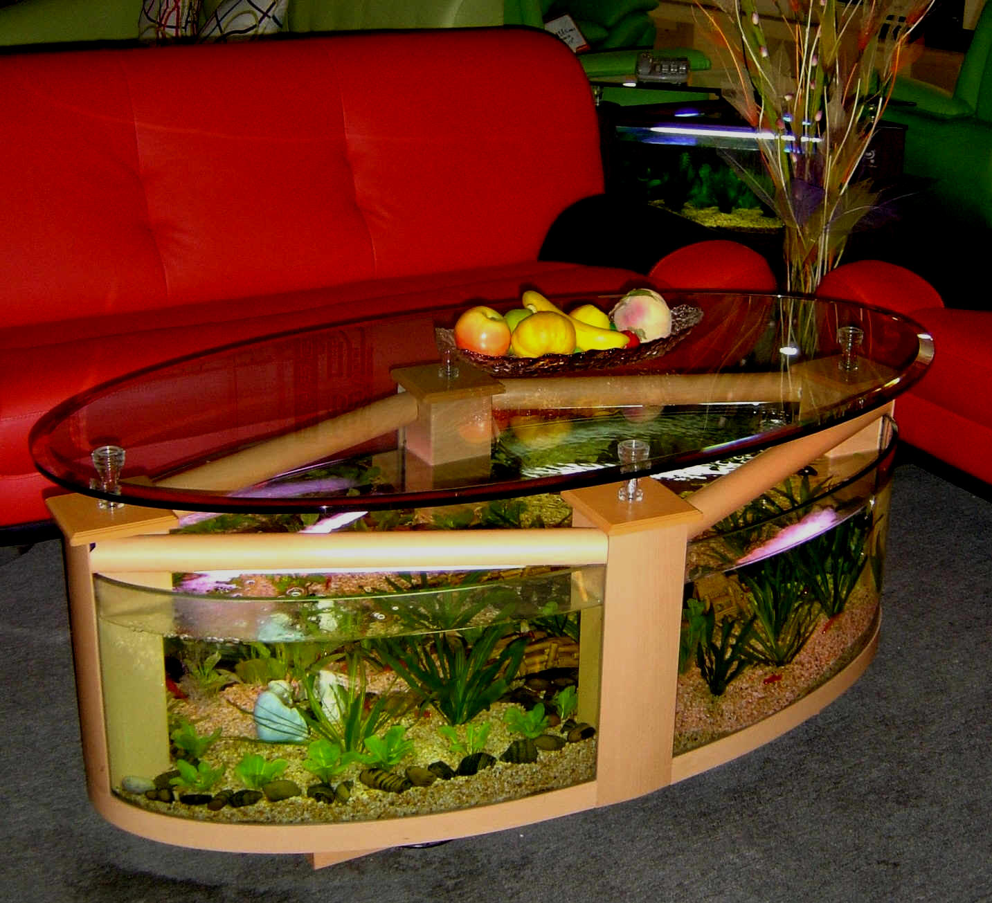 WARRANTY INCLUDED! 55 gallon GLASS round circle table aquarium fish tank  setup- MAPLE