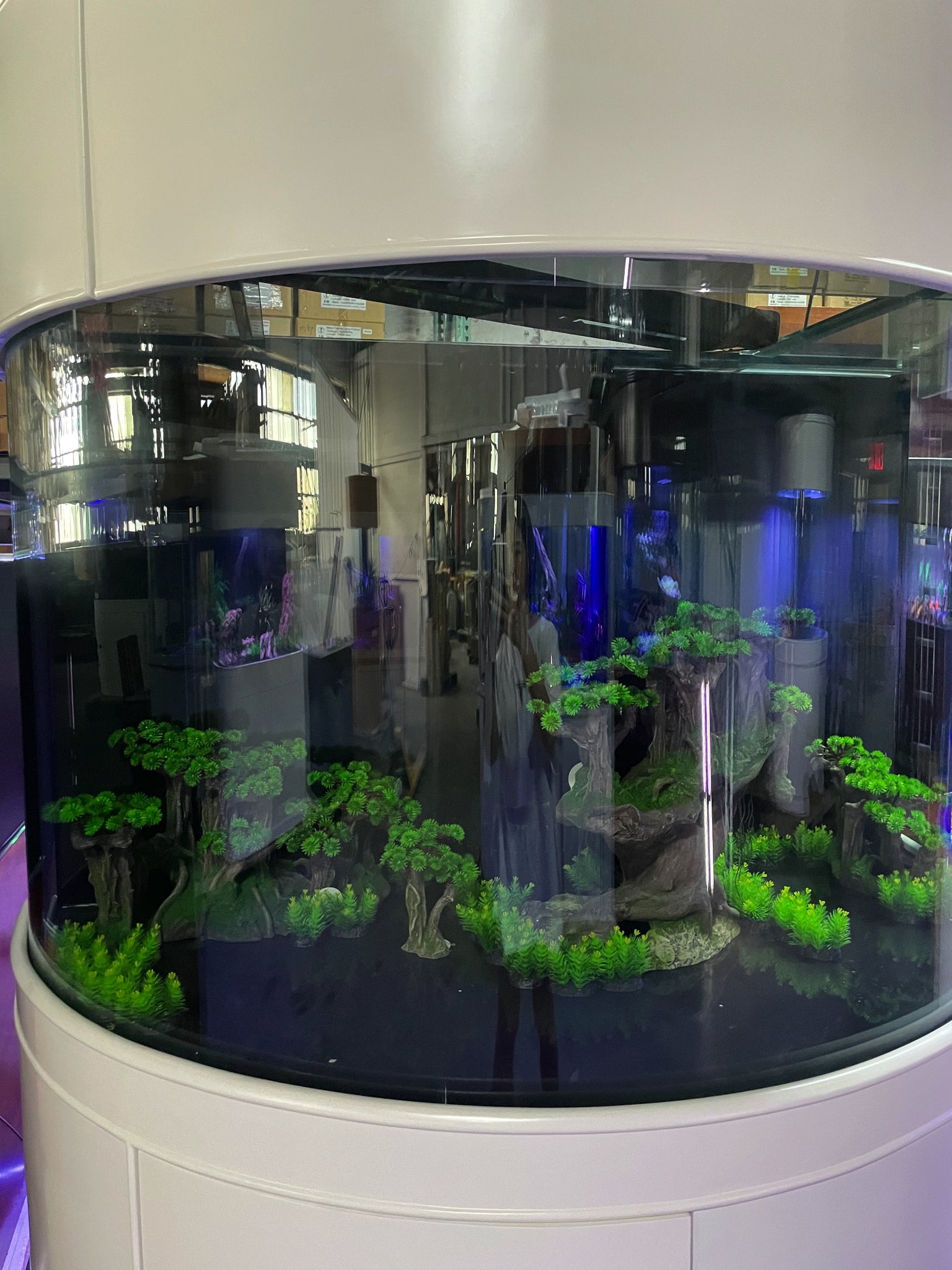 WARRANTY INCLUDED! 220 gallon GLASS half moon half cylinder aquarium fish  tank set NEW!