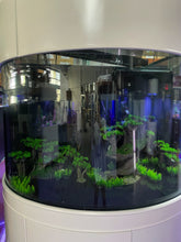 Load image into Gallery viewer, WARRANTY INCLUDED! 220 gallon GLASS half moon half cylinder aquarium fish tank set NEW!
