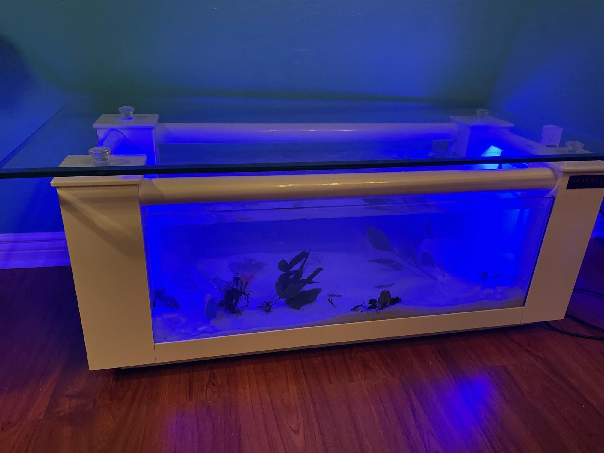 WARRANTY INCLUDED! 60 gallon GLASS oval round table aquarium fish