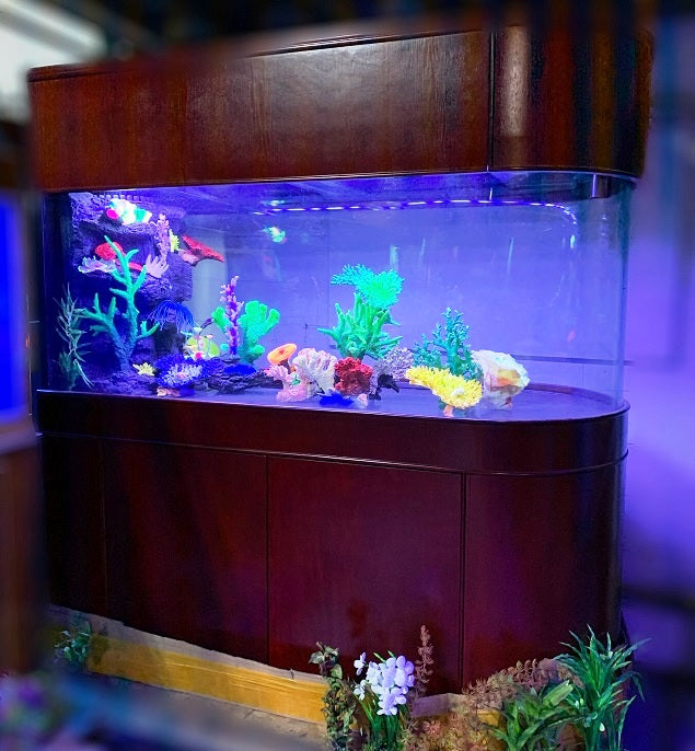 Warranty included 300 GALLON GLASS room divider peninsula aquarium fish  tank set