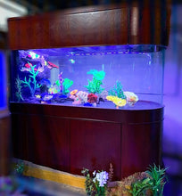 Load image into Gallery viewer, Warranty included 300 GALLON GLASS room divider peninsula aquarium fish tank set

