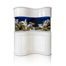 Load image into Gallery viewer, RARE JAWDROPPING AQUARIUM! Warranty included GLASS 170 gallon wave fish tank
