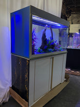 Load image into Gallery viewer, WARRANTY INCLUDED! 180 gallon GLASS room divider peninsula aquarium fish tank full setup
