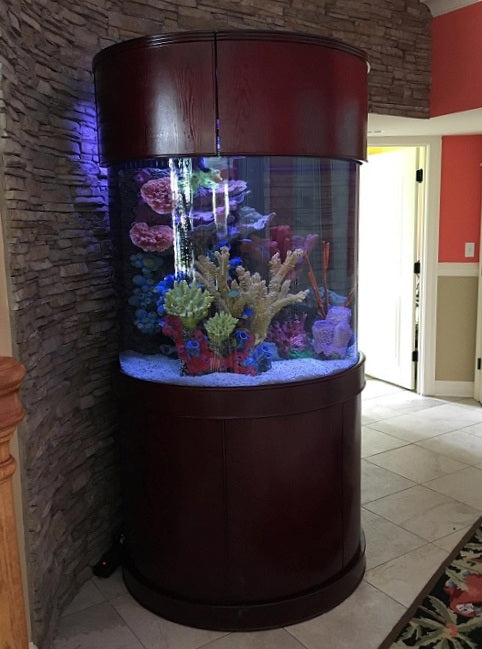 WARRANTY INCLUDED! 90 gallon GLASS round cylinder wall aquarium fish tank  oak