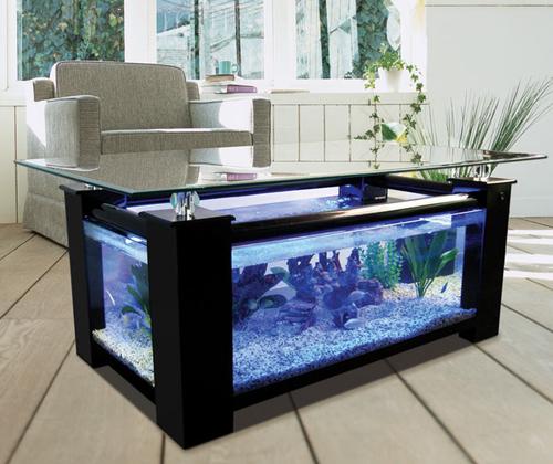 WARRANTY INCLUDED! 45 gallon GLASS rectangle table aquarium fish tank full setup