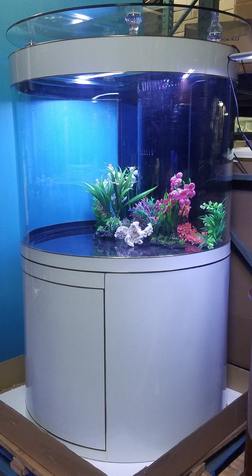 WALNUT COLOR 160 gallon GLASS cylinder wall aquarium w/ metal stand