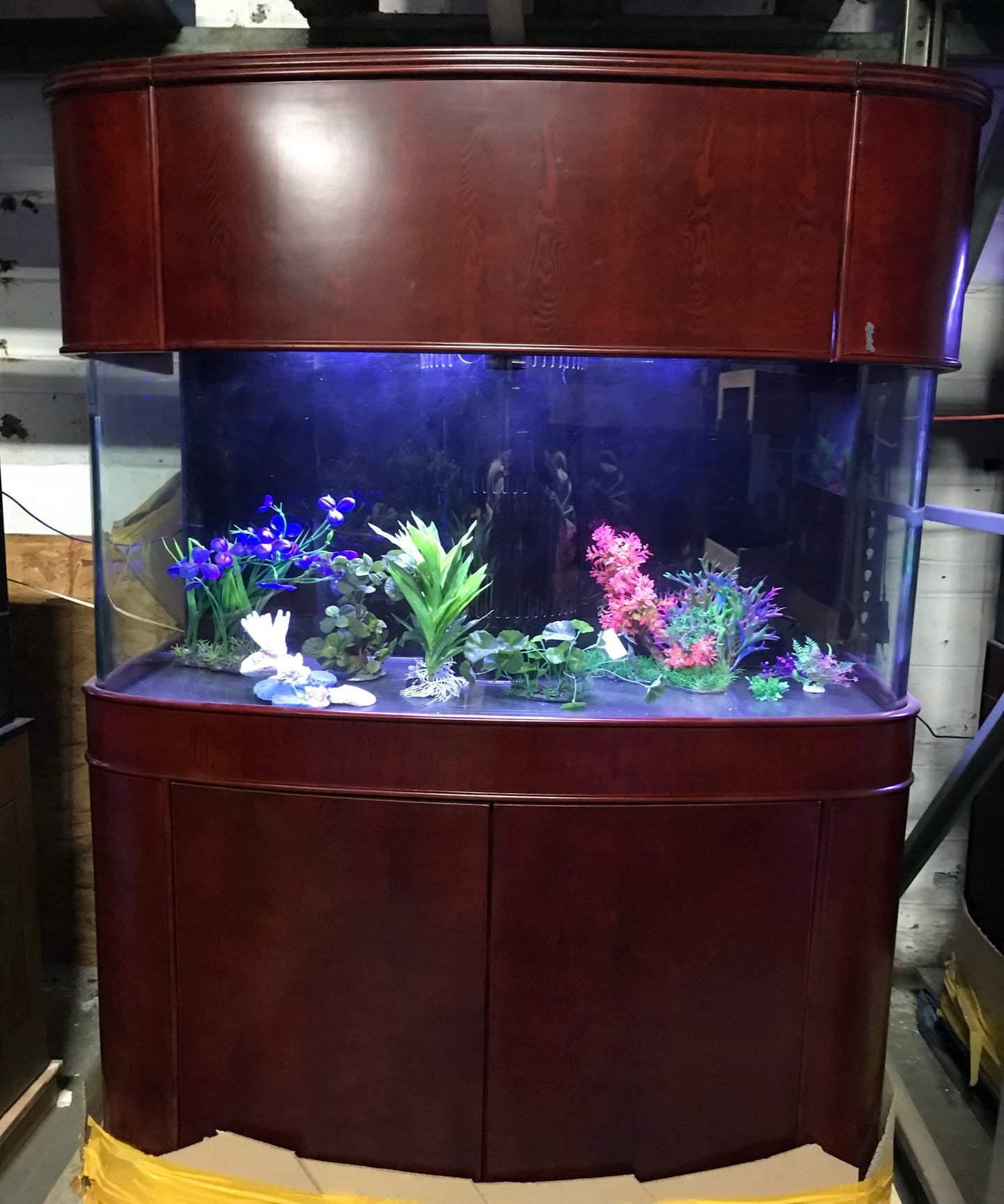 WARRANTY INCLUDED! 170 gallon GLASS bow front aquarium fish tank cherry wood