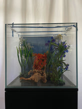 Load image into Gallery viewer, ULTRA CLEAR GLASS - 18 gallon cube fish tank aquarium full setup w/ filtration

